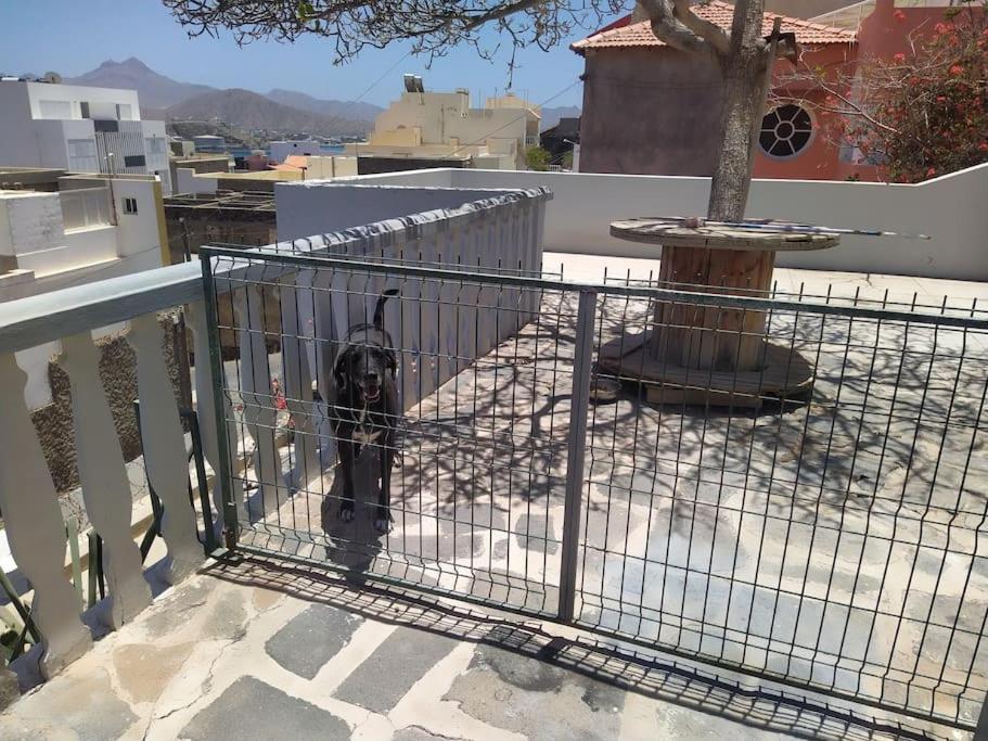 Vivenda Com Patio, No Coracao Do Mindelo Villa Buitenkant foto